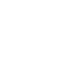 icons8 viber 256
